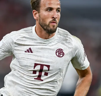 这不仅显示 这不仅显示