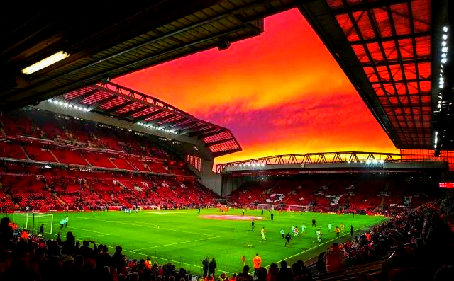 指挥型自由 指挥型自由